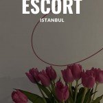 Желаешь получать большие деньги?