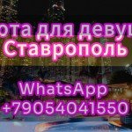 Много работы в Ставрополе !