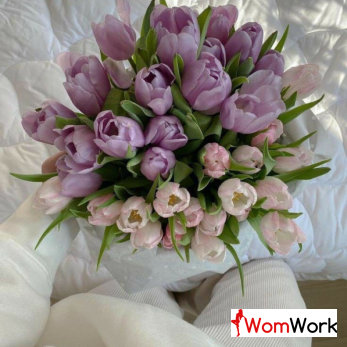 Работа в МСК НЕ БЮДЖЕТ