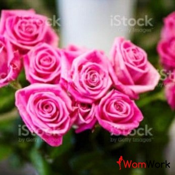 Ты молода и прекрасна? Хочешь лучшей жизни?