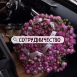 Ищу работу диспетчером/ администратором